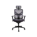เก้าอี้เพื่อสุขภาพ Ergotrend DOOM-01BMF Ergonomic Chair Black