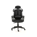 เก้าอี้เพื่อสุขภาพ Ergotrend Dual-02BPP Ergonomic Chair Black
