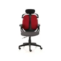 เก้าอี้เพื่อสุขภาพ Ergotrend Dual-03 Ergonomic Chair Red