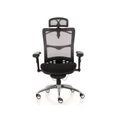 เก้าอี้เพื่อสุขภาพ Ergotrend Beyond Blackbone-01GMF Ergonomic Chair Black