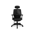 เก้าอี้เพื่อสุขภาพ Ergotrend Dual-06 Ergonomic Chair Black