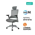 เก้าอี้เพื่อสุขภาพ DreamDesk ErgChair - Sync Ergonomic Chair Grey Mesh
