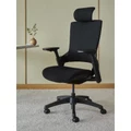 เก้าอี้เพื่อสุขภาพ DreamDesk ErgChair - Sync Ergonomic Chair Black Fabric