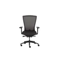 เก้าอี้เพื่อสุขภาพ Modernform Radius Ergonomic Chair Black