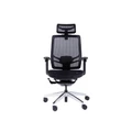 เก้าอี้สุขภาพ Ergotrend Wisby Ergonomic Chair Black