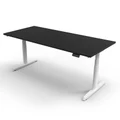 โต๊ะปรับระดับ Ergotrend Sit 2 Stand GEN5 (Premium dual motor) 70x120 Adjustable Desk Black Top + White Frame
