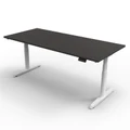 โต๊ะปรับระดับ Ergotrend Sit 2 Stand GEN5 (Premium dual motor) 70x120 Adjustable Desk Graphite Top + White Frame