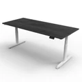 โต๊ะปรับระดับ Ergotrend Sit 2 Stand GEN5 (Premium dual motor) 70x120 Adjustable Desk Midnight marble Top + White Frame