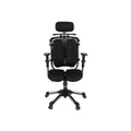 เก้าอี้สุขภาพ HARA CHAIR NIETZSCHE 2 Ergonomic Chair Black