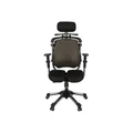 เก้าอี้สุขภาพ HARA CHAIR ZENON 2 Ergonomic Chair Grey