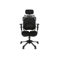 เก้าอี้สุขภาพ HARA CHAIR ZENON 2 LB Ergonomic Chair Black