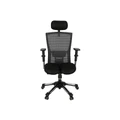 เก้าอี้สุขภาพ HARA CHAIR THALES-V7 Ergonomic Chair Black