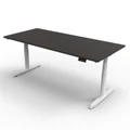 โต๊ะปรับระดับ Ergotrend Sit 2 Stand GEN5 (Premium dual motor) 75x150 Adjustable Desk Graphite Top + White Frame