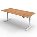 โต๊ะปรับระดับ Ergotrend Sit 2 Stand GEN5 (Premium dual motor) 75x150 Adjustable Desk Capucino Top + White Frame