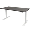 โต๊ะปรับระดับ Ergotrend Sit 2 Stand GEN3 (Premium dual motor) 75x180 Adjustable Desk Twilight Elm Top + White Frame