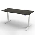 โต๊ะปรับระดับ Ergotrend Sit 2 Stand GEN4 (Premium dual motor) 75x150 Adjustable Desk Twilight Elm Top + White Frame