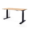 โต๊ะปรับระดับ Ergotrend Sit 2 Stand GEN4 (Premium dual motor) 75x150 Adjustable Desk Shimo Ash Top + Black Frame