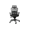 เก้าอี้สุขภาพ DF Prochair Ergo1 Smart Foam Ergonomic Chair Black