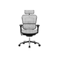 เก้าอี้สุขภาพ DF Prochair Ergo2 (Original) Ergonomic Chair White