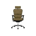 เก้าอี้สุขภาพ DF Prochair Ergo2 (Original) Ergonomic Chair Gold