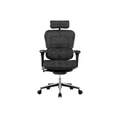 เก้าอี้สุขภาพ DF Prochair Ergo2 (New Function) Ergonomic Chair Black