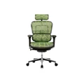 เก้าอี้สุขภาพ DF Prochair Ergo2 (New Function) Ergonomic Chair Green