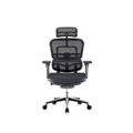 เก้าอี้สุขภาพ DF Prochair Ergo2 (T168) Ergonomic Chair Black