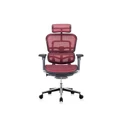 เก้าอี้สุขภาพ DF Prochair Ergo2 (T168) Ergonomic Chair Red