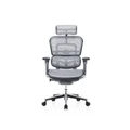 เก้าอี้สุขภาพ DF Prochair Ergo2 (T168) Ergonomic Chair White