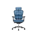 เก้าอี้สุขภาพ DF Prochair Ergo2 (T168) Ergonomic Chair Blue