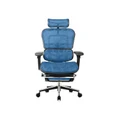 เก้าอี้สุขภาพ DF Prochair Ergo2 Plus Ergonomic Chair Blue