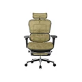 เก้าอี้สุขภาพ DF Prochair Ergo2 Plus Ergonomic Chair Gold