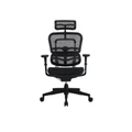 เก้าอี้สุขภาพ DF Prochair Ergo Ergonomic Chair Black