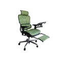 เก้าอี้สุขภาพ DF Prochair Ergo2 Top Plus Ergonomic Chair Green