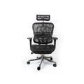 เก้าอี้สุขภาพ DF Prochair Ergo3 Ergonomic Chair Black