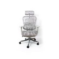 เก้าอี้สุขภาพ DF Prochair Ergo3 ZB7 Ergonomic Chair Gray