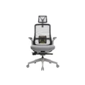 เก้าอี้สุขภาพ WORKSCAPE Libra WCH-00001 Ergonomic Chair