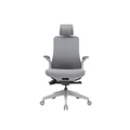 เก้าอี้สุขภาพ WORKSCAPE Libra WCH-00002 Ergonomic Chair
