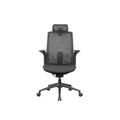 เก้าอี้สุขภาพ WORKSCAPE Mensa WCH-00004 Ergonomic Chair Black