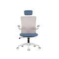 เก้าอี้สุขภาพ WORKSCAPE Luna WCH-00005 Ergonomic Chair Light Navy