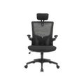 เก้าอี้สุขภาพ WORKSCAPE Luna WCH-00006 Ergonomic Chair Black