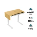 โต๊ะปรับระดับ DF Prochair ET120 60x120 Adjustable Desk Wood Grain Melamine Top + White Frame