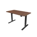 โต๊ะปรับระดับ Ergomate Maidesite Single Motor 2 Stage 60x120 Adjustable Desk Walnut Top + Black Frame