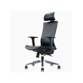 เก้าอี้สุขภาพ Ergotrend Dual-X Classic Ergonomic Chair