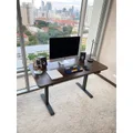โต๊ะปรับระดับ DreamDesk Ergonomic 60x120 Adjustable Desk Black Frame+Cherry Top
