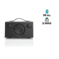 ลำโพง Audio Pro ADDON T3+ Portable Speaker Black