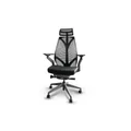 เก้าอี้เพื่อสุขภาพ Bewell Embrace Ergonomic Chair Black [ส่งของภายใน 3-7 วันทำการ]