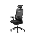 เก้าอี้สุขภาพ Modernform X CARNIVAL Series 16 All Black Limited Edition Ergonomic Chair
