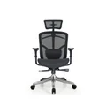 เก้าอี้สุขภาพ DF Prochair BT-H Ergonomic Chair Black