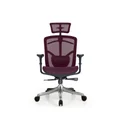 เก้าอี้สุขภาพ DF Prochair BT-H Ergonomic Chair Red